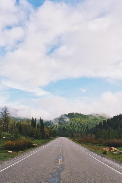 布朗混凝土道路树木簇拥着在白天多云的天空下
